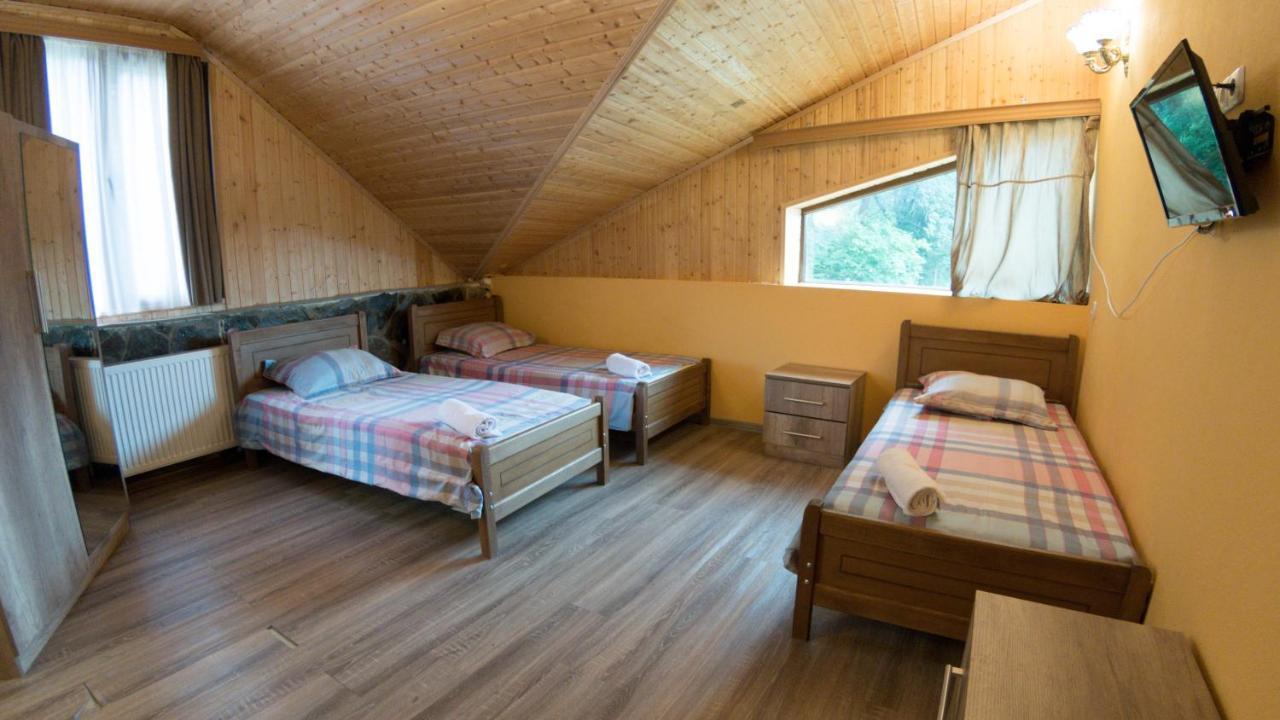 Hotel Eco House In Bakuriani Ngoại thất bức ảnh