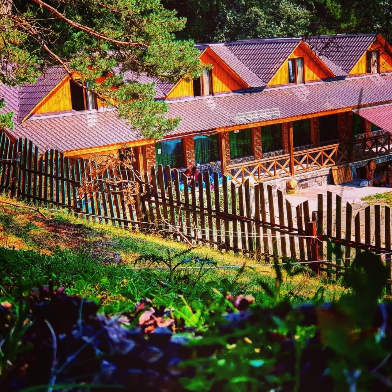 Hotel Eco House In Bakuriani Ngoại thất bức ảnh