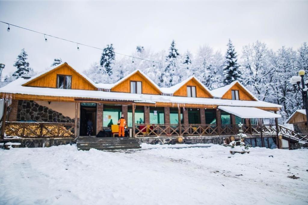 Hotel Eco House In Bakuriani Ngoại thất bức ảnh